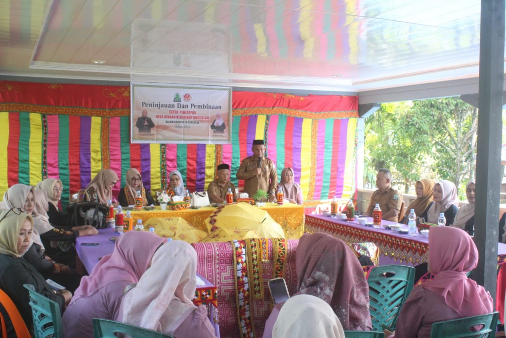 Peninjauan dan Pembinaan dari Dekranas sebagai Desa Binaan Kerajinan Unnggulan Kabupaten Simeulue